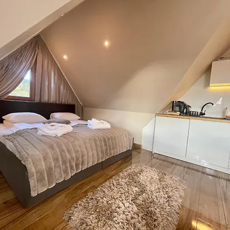 Apart-center Zakopianskie Tarasy Appartement Zakopane